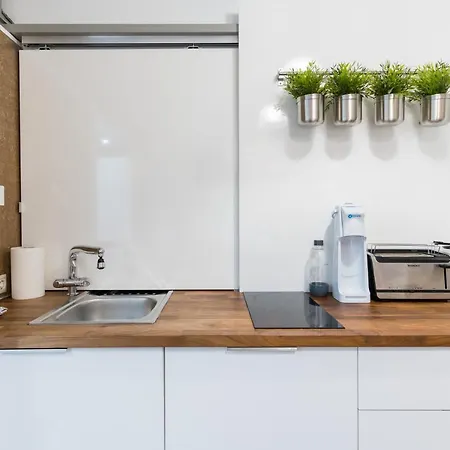 Z Loft Apartment-1 Br- Downtown