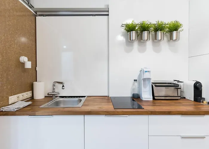 Z Loft Apartment-1 Br- Downtown